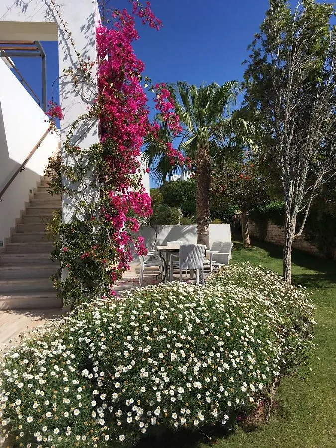 Villa L'Oiseau Bleu Essaouira